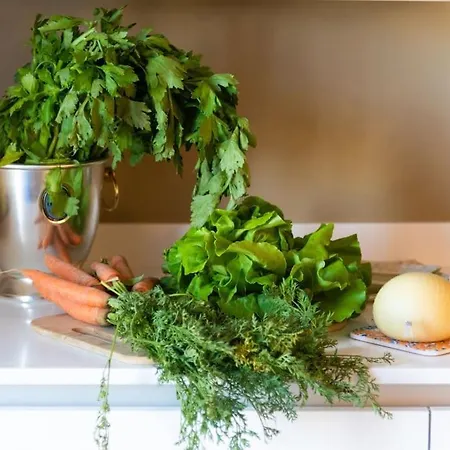 Charming Luxury Apartment: Center Lejlighed